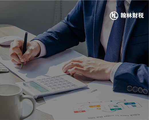 財(cái)稅營銷型網(wǎng)站建設(shè)|翰林財(cái)稅