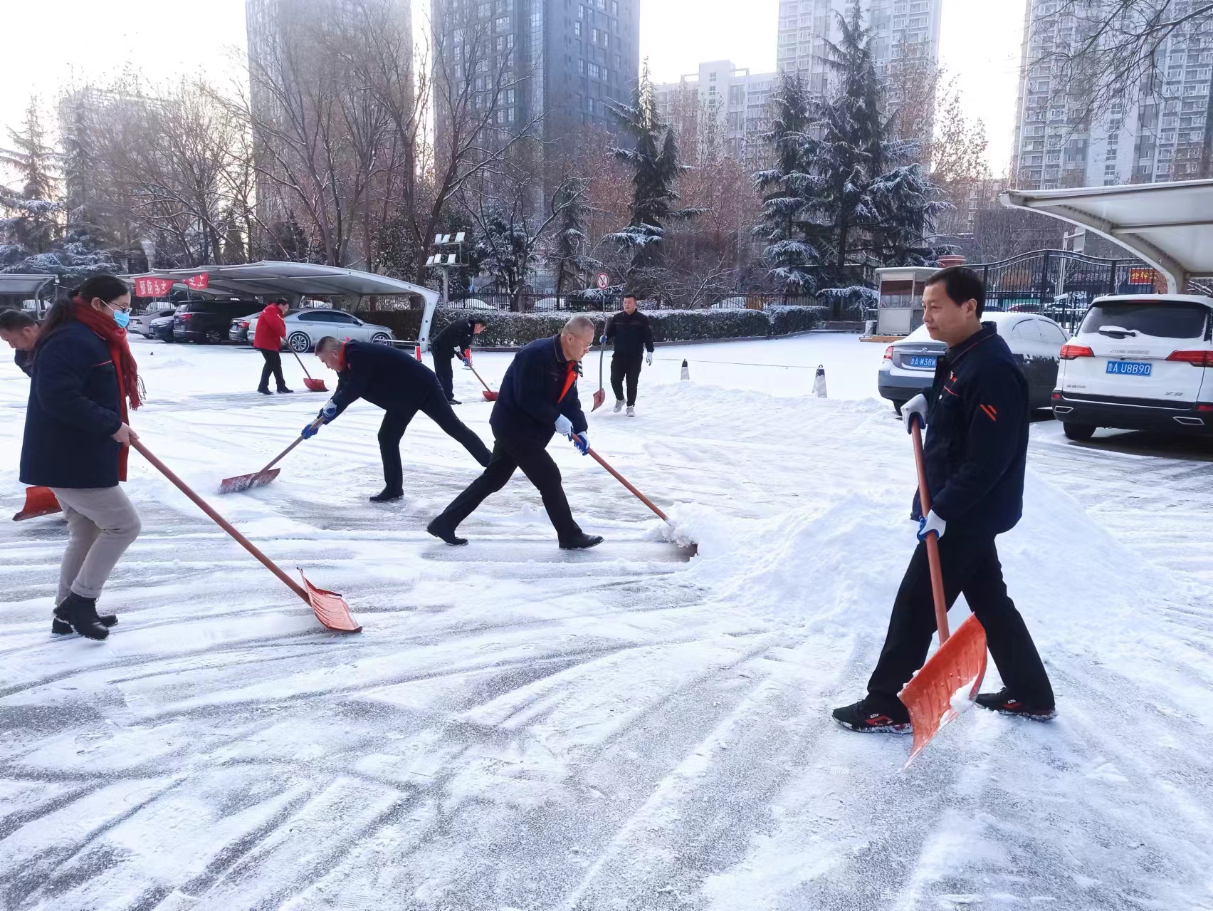 掃雪除冰志愿服務(wù)活動(dòng)